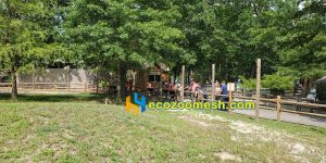 black zoo animal fence mesh