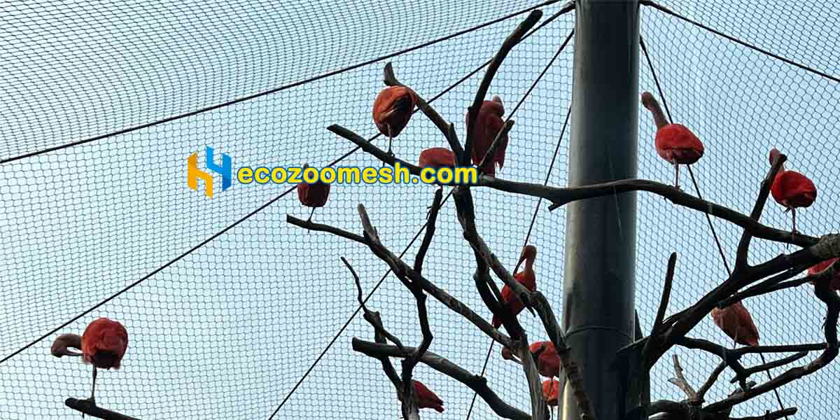 Steel Cable Mesh in Zoo Construction