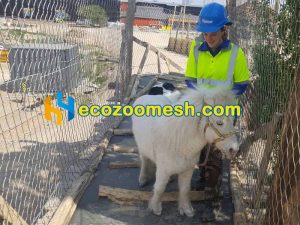 animal trail fence mesh