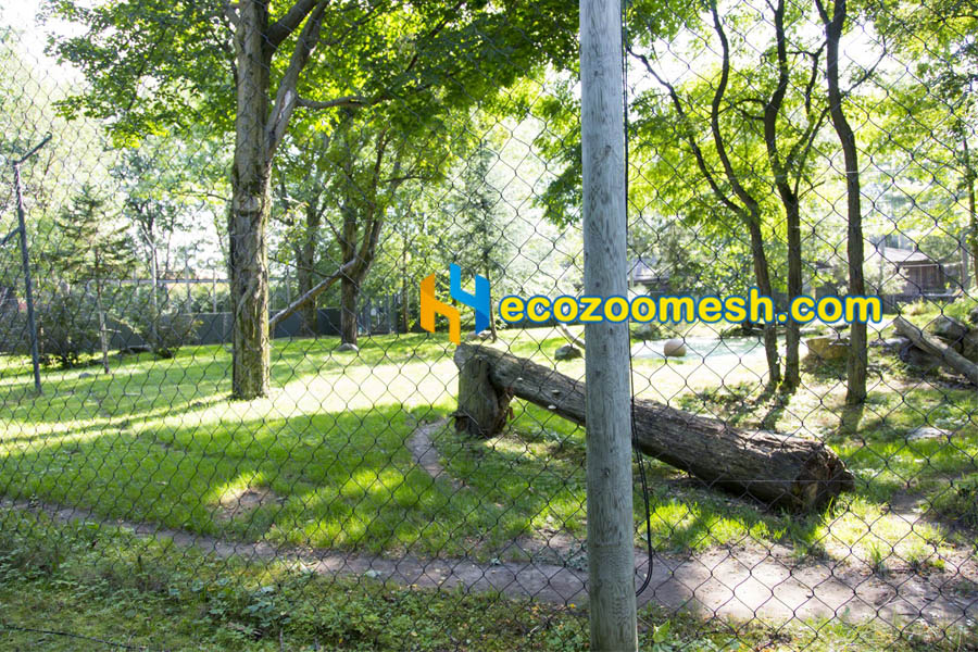 See-Through Cable Mesh Enclosure lion