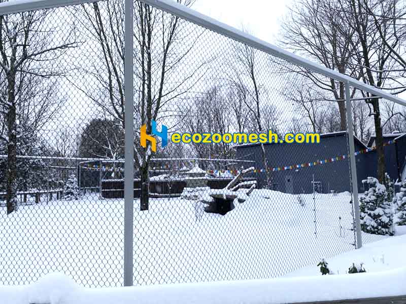 Cable Mesh snow leopard exhibit