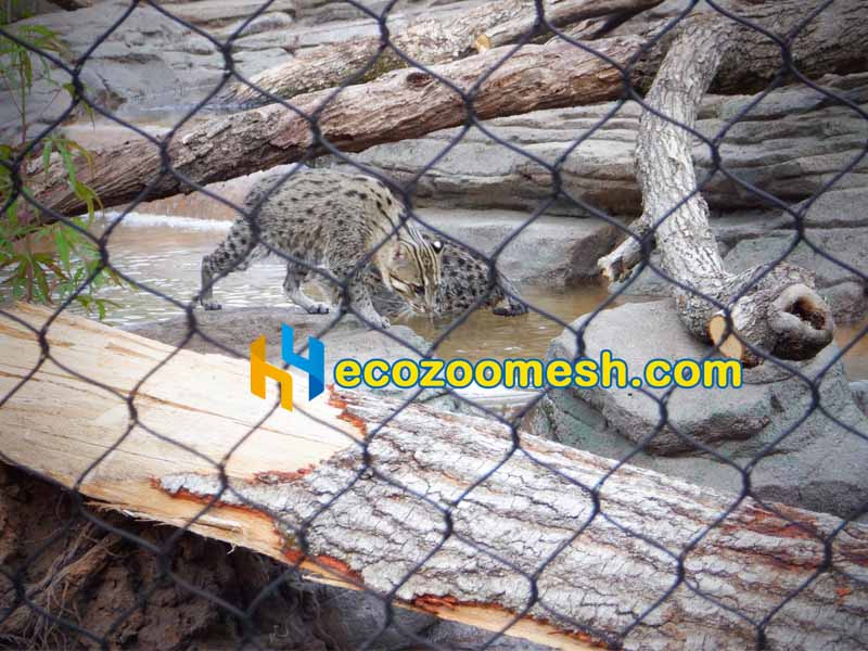 black Fishing cat exhibit fence mesh