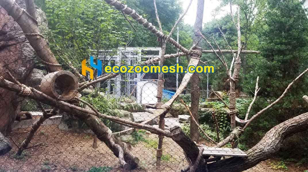 Red Pandas Exhibit Mesh