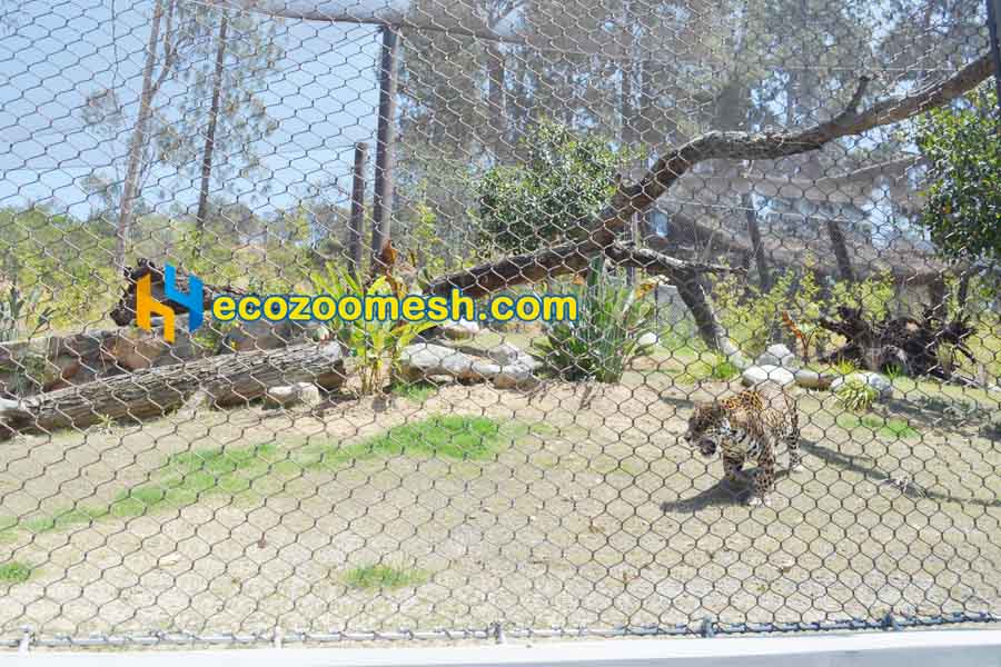 American Jaguar behind the cable Mesh