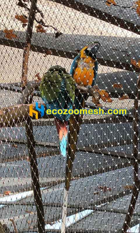 European Zoo Mesh for parrots birds