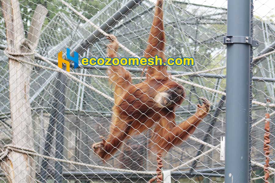 European Zoo Mesh for primates enclosure