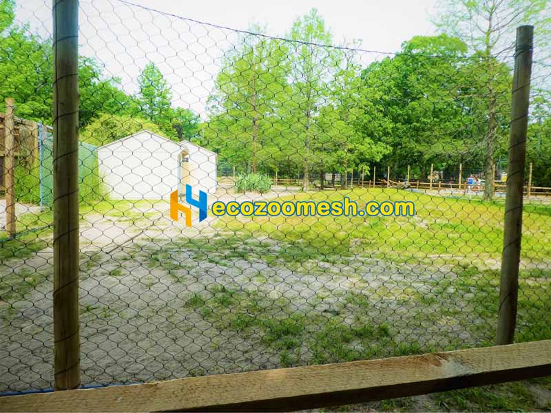 American Farm Animal Mesh