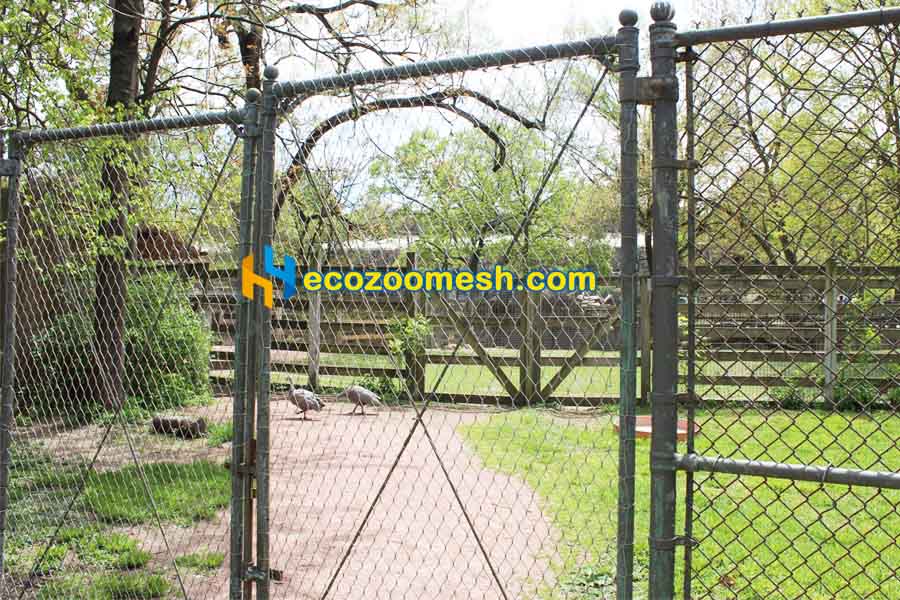 American Farm Animal Mesh goose