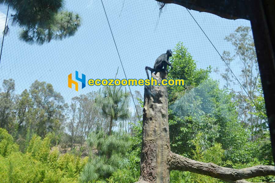 langur Primate Enclosure Mesh for Residence