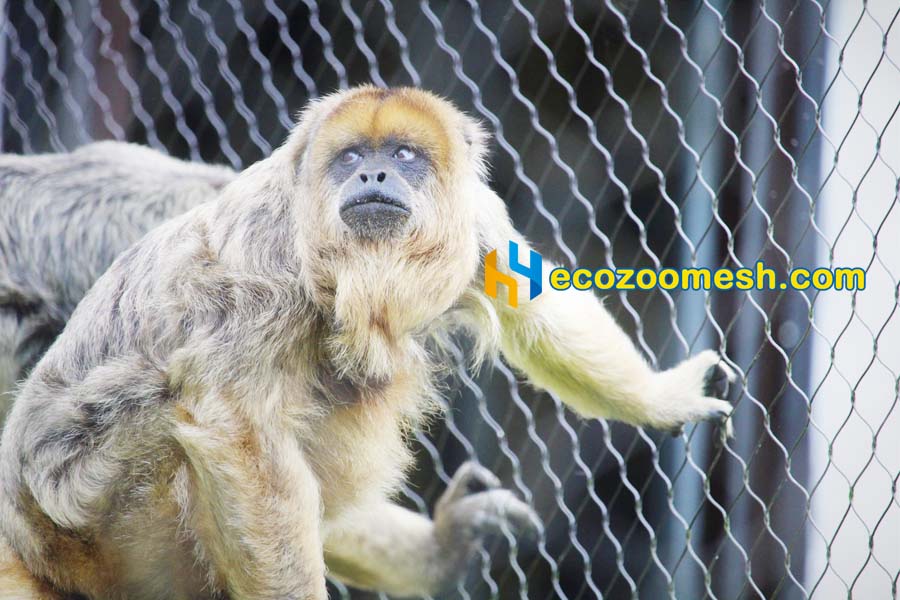 Primate Enclosure Mesh for Residence black howler enclosure
