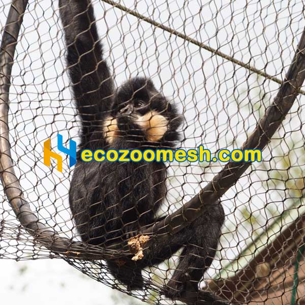 Primate Canopy Trail Mesh for gibbons