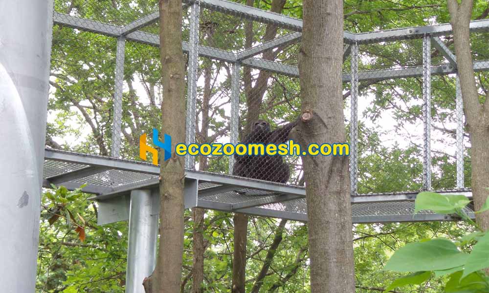 Primate Canopy Trail Mesh gorilla treeway