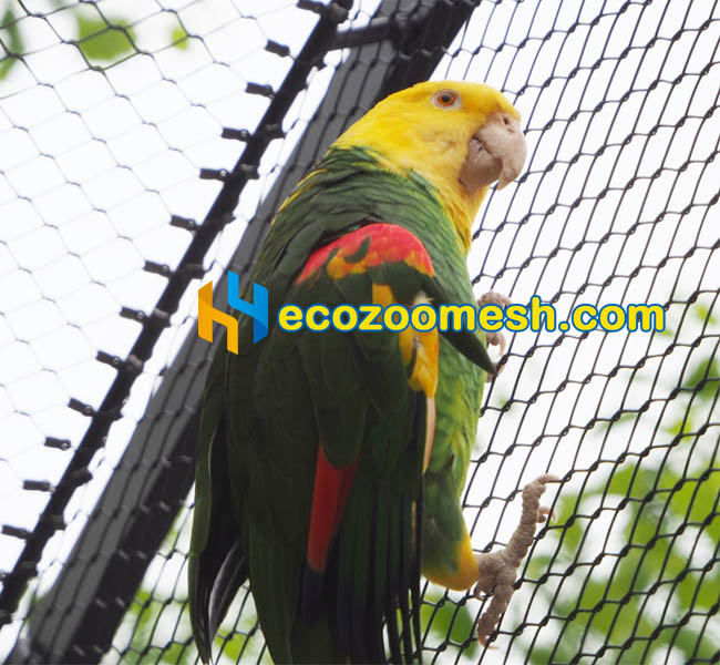 Mesh for Birds Aviary parrots