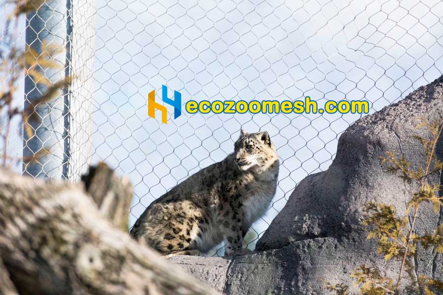 medium cat exhibits netting for safety and durability.