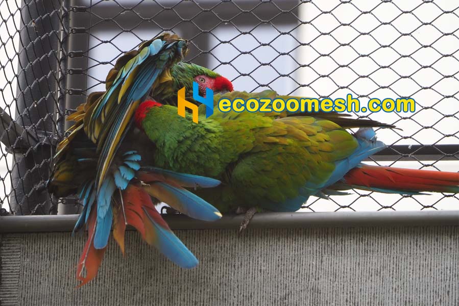 Wire Mesh for Macaw Aviary