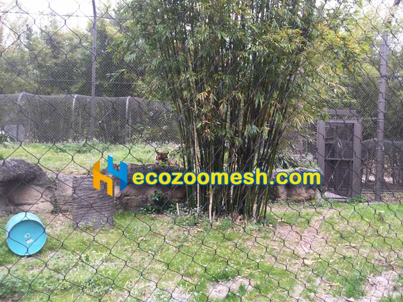 tiger exhibit mesh fence