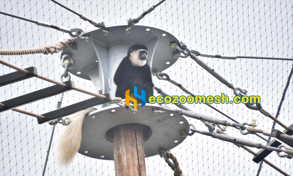 ferrule type of animal enclosure fence mesh
