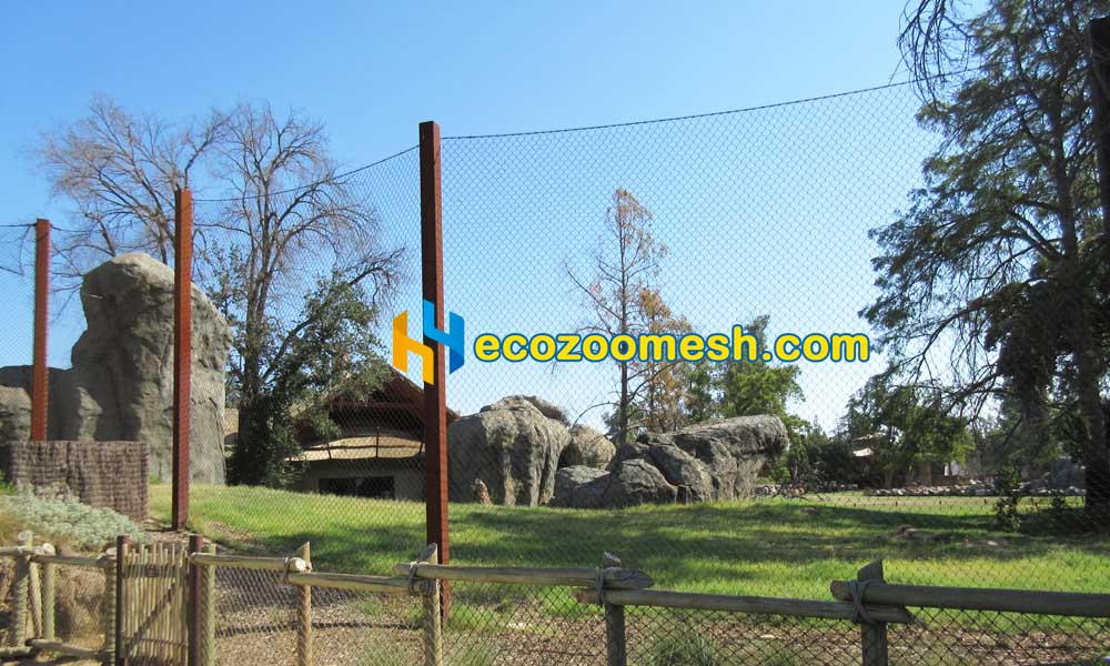 African Lion Exhibit Mesh big mesh panel