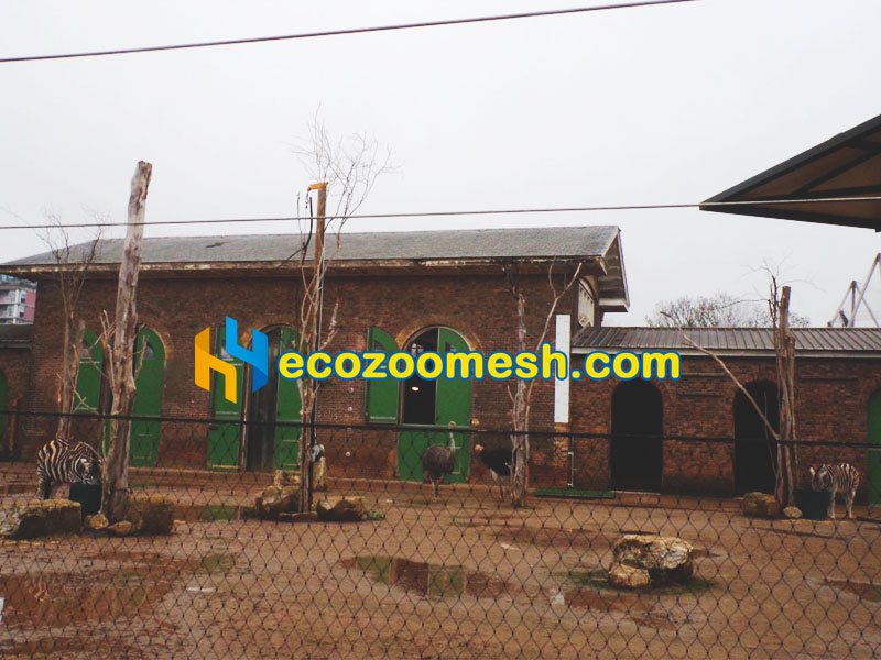 deer enclosure fence netting with zebra and ostrich