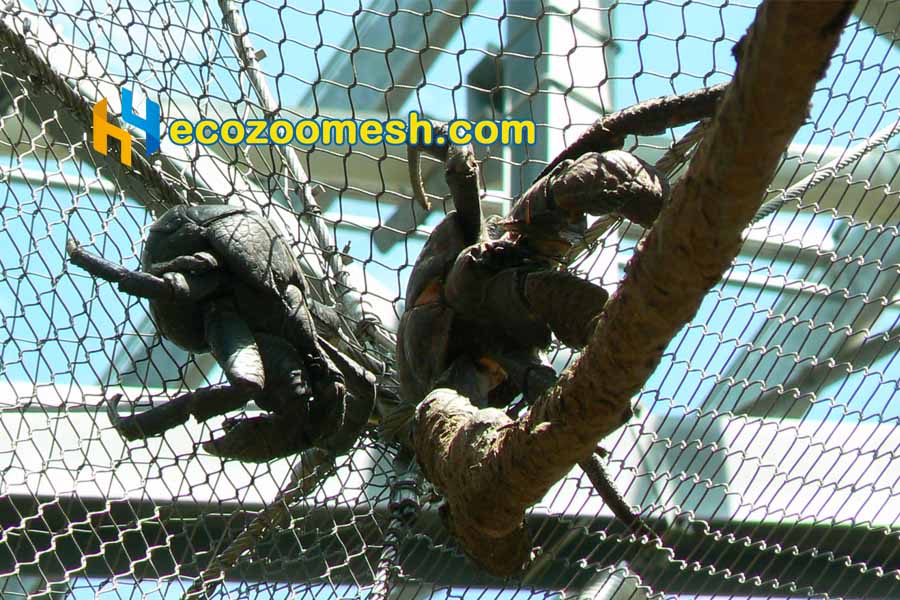 woven wire mesh for coconut crabs exhibit