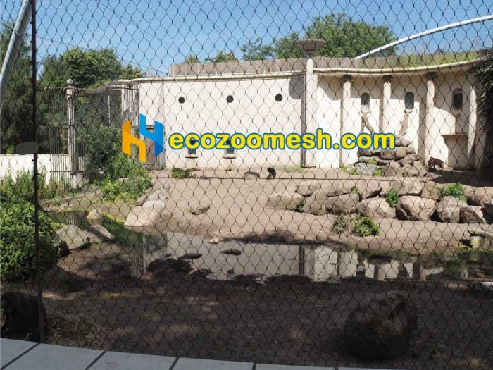 Home | Zoo Mesh Supplier-Hengyi