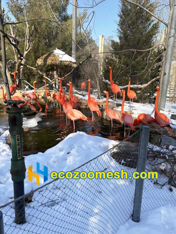 flamingo exhibit fence woven wire mesh