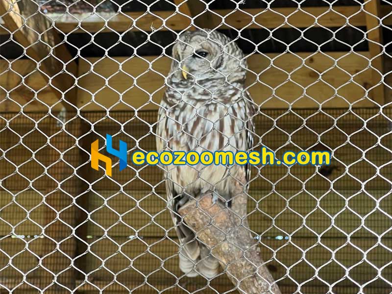 aviary zoo mesh owl