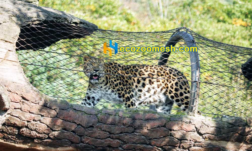Black Cable Wire Mesh jaguar outdoor