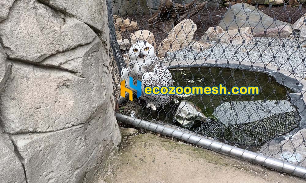snowy owl aviary made with black ferrule mesh