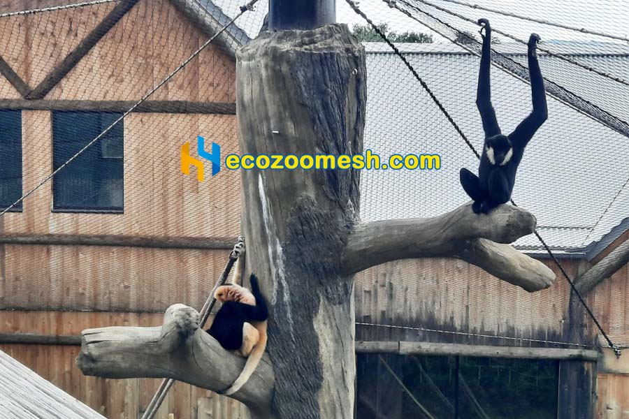 cable mesh for monkey fence