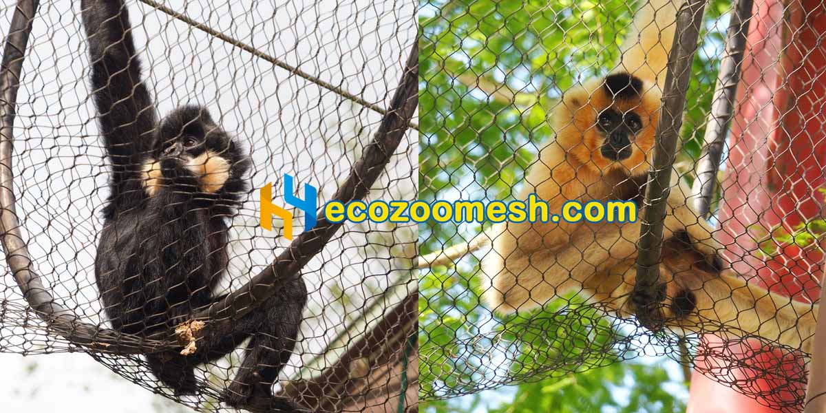 Stainless Steel Wire Rope Tunnel Mesh for primate enclosures