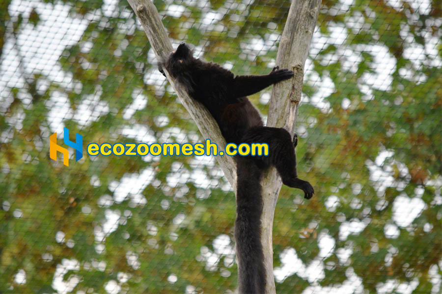 zoo mesh for monkey enclosure