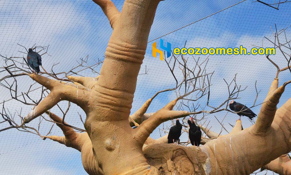 stainless steel aviary mesh for bald ibis enclosure
