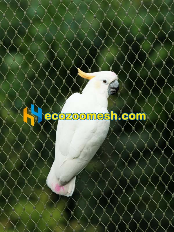 stainless steel aviary mesh in ferrule type