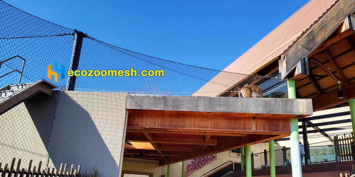 steel cable mesh protects upstairs tiger enclosure