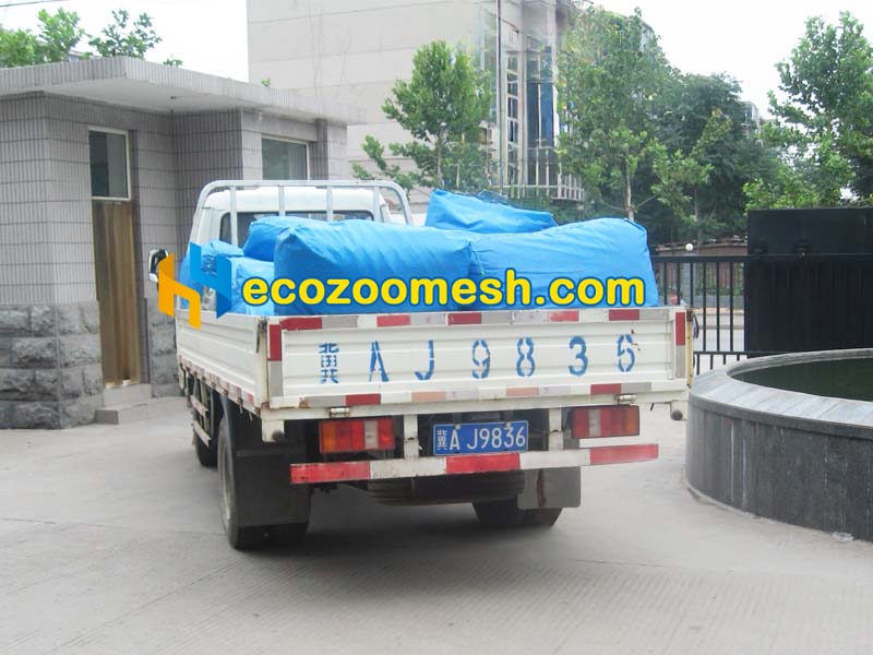 zoo mesh shipping