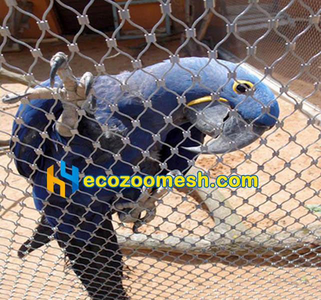 ferrule mesh macaw aviary