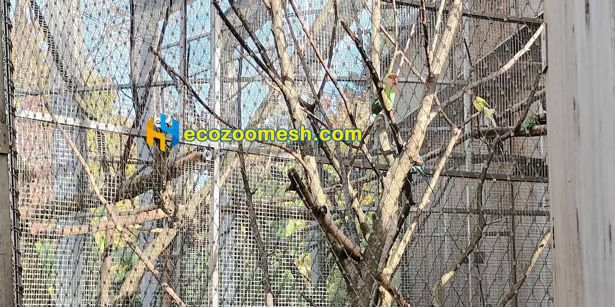 parrot mesh macaw aviary