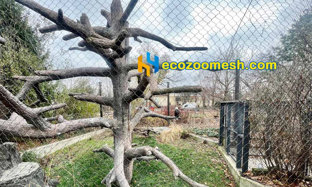 bird aviary mesh for bald eagle