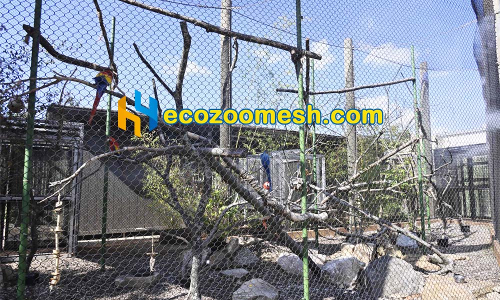 parrots aviary custom zoo mesh