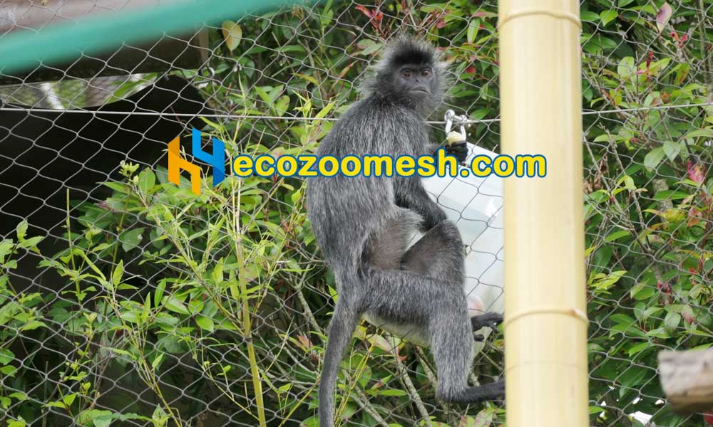 silver-leaf monkey custom zoo mesh