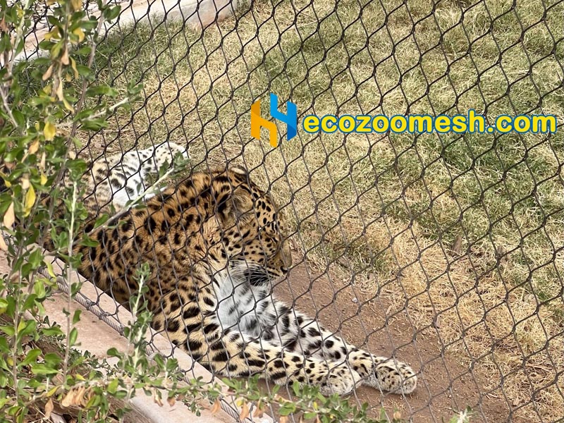 Custom Size Stainless Steel Netting leopard fence mesh