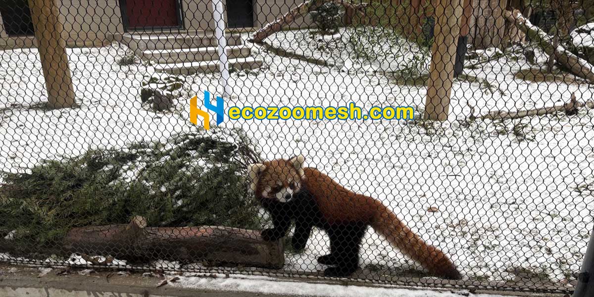 red panda enclosure mesh Custom Size Stainless Steel Netting