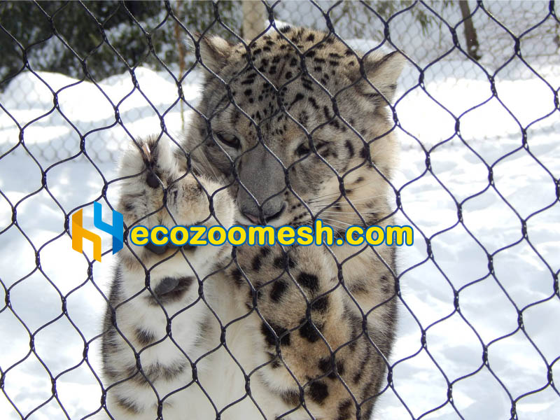 Black Stainless Steel Rope Mesh for Zoo Enclosures cat