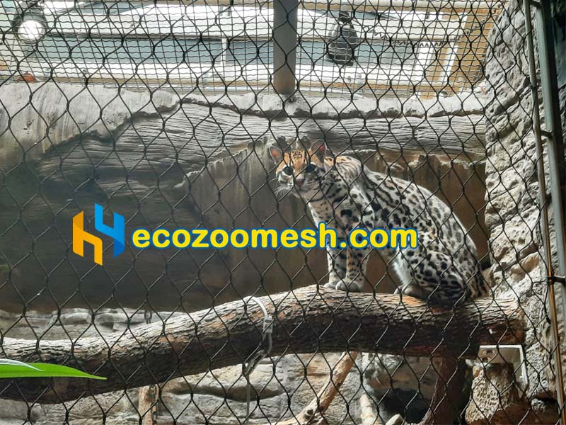 Black Stainless Steel Rope Mesh for Zoo Enclosures ocelot fence
