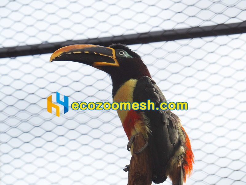 wire aviary mesh steel