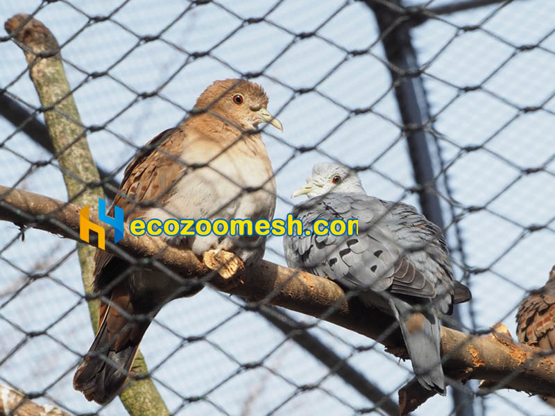 wire aviary mesh fence