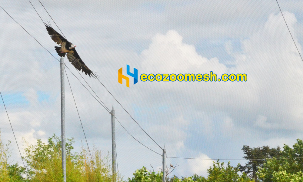 zoo mesh enclosure birds aviary roof