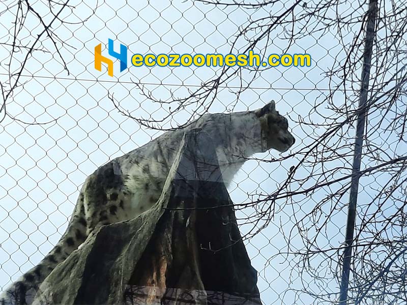 snow leopard enclosure mesh black mesh