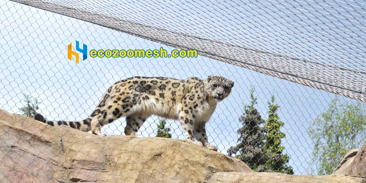roof of snow leopard enclosure mesh